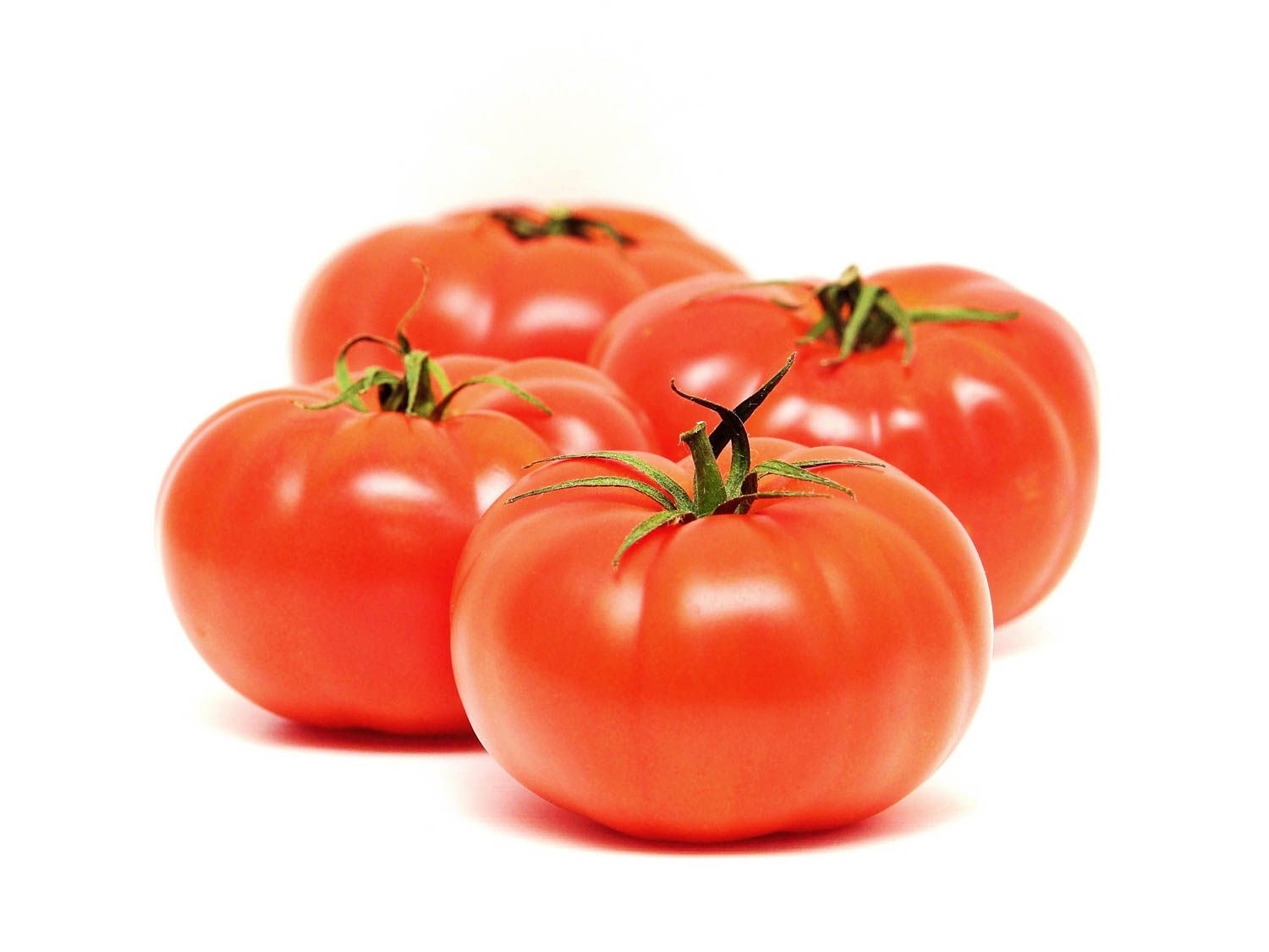 Vegetable Flat: Tomato Beefsteak – Gabrielsen Fundraising